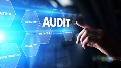 Quality System Auditing Services