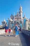 Sleeping Beauty's Enchanted Castle