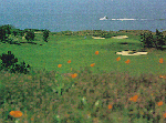 Golfing